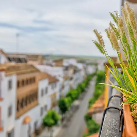 Con Parking El Patio De La Muralla Кордова