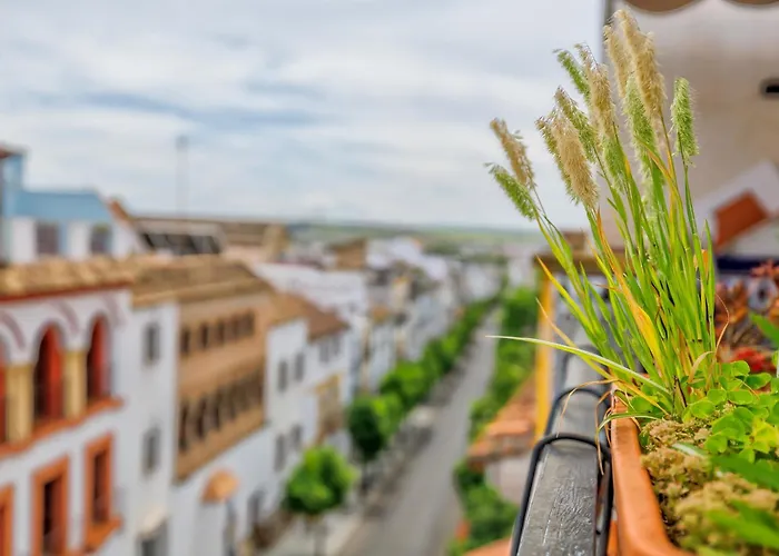 Con Parking El Patio De La Muralla קורדובה